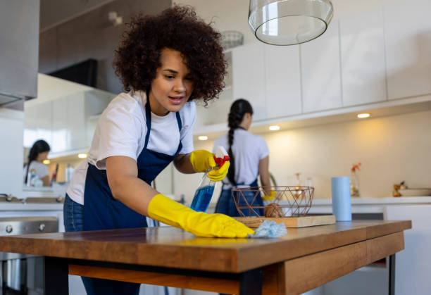 Maid Service Near Me: How to Choose Regular Cleaning Help for Your Home