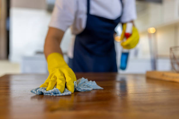 What Should You Look for in a Recurring Maid Service?