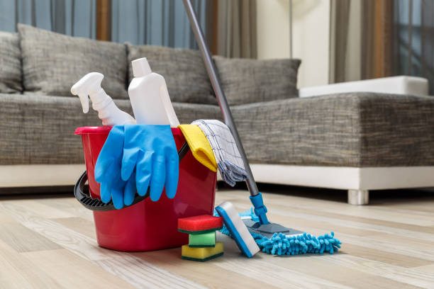 Local Maid Service in Fishers, IN